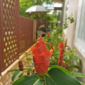 ** Inn De​ Lanta Place Thailand